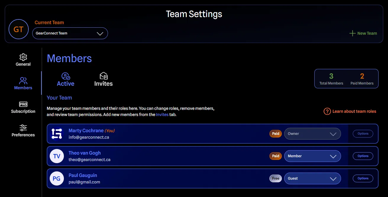 Team settings showing active members and their roles